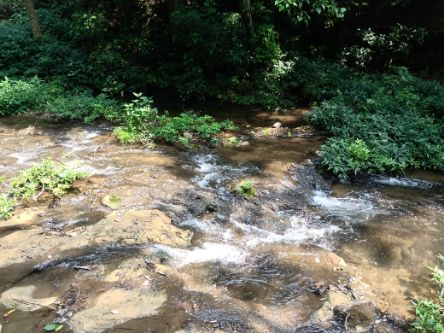 Corbett Falls 5